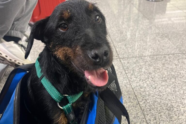 L 8 marzo sono volato a Roma